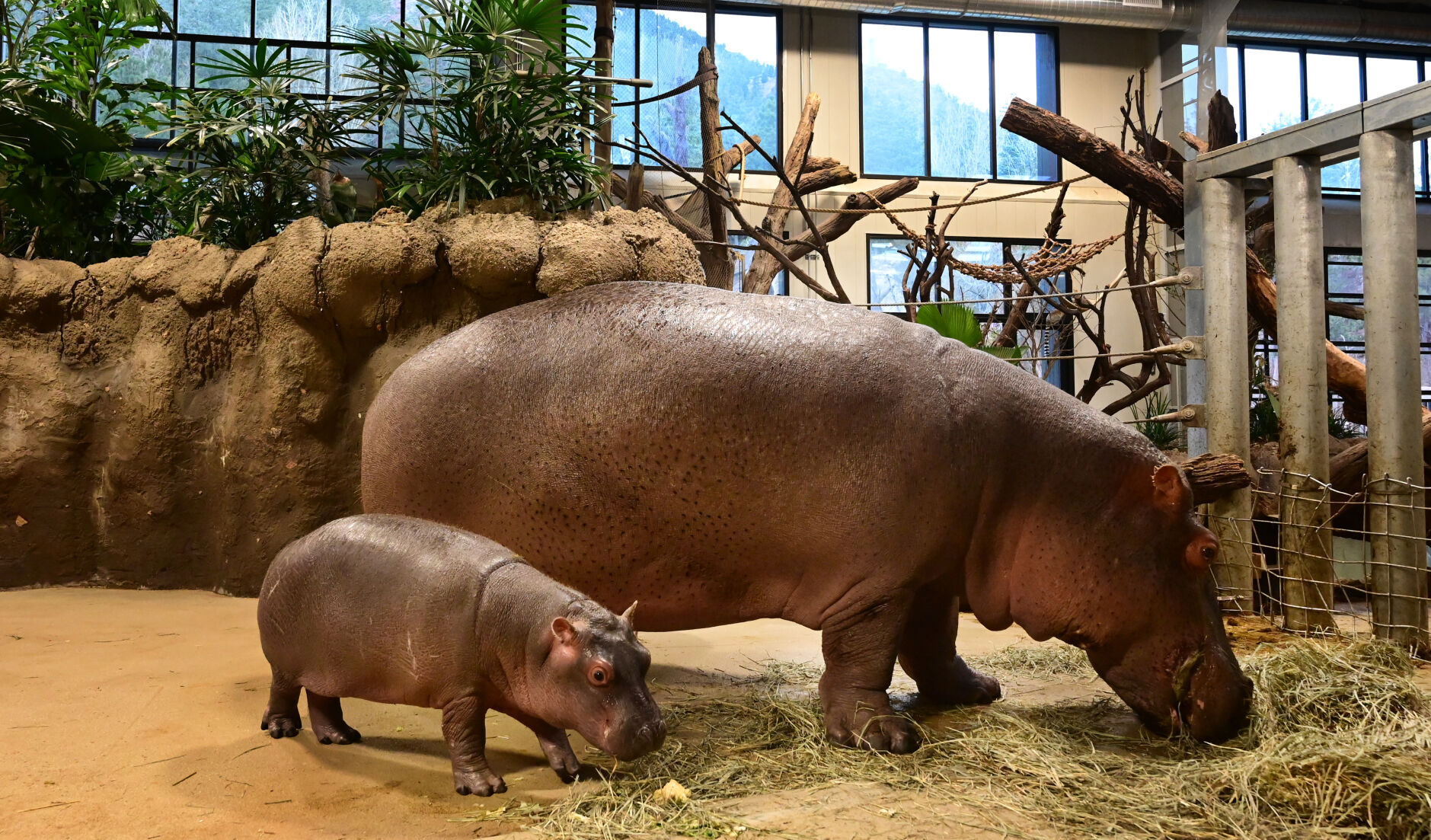112821-life-zoo 09.JPG